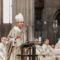 Diakonenweihe 2024 / Erzdiözese Wien/ Schönlaub