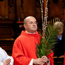 2025 Palmsonntag / Erzdiözese Wien/ Schönlaub, Stephan Schönlaub
