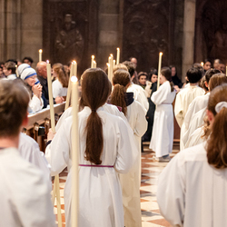 Chrisammesse 2025 / Erzdiözese Wien/ Schönlaub, Stephan Schönlaub