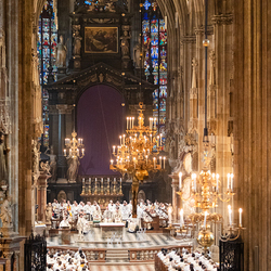 Chrisammesse 2025 / Erzdiözese Wien/ Schönlaub, Stephan Schönlaub