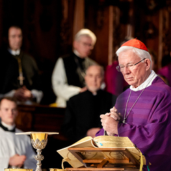 Stephansdom: Österreich nahm Abschied von Papst Franziskus / Erzdiözese Wien/ Schönlaub, Stephan Schönlaub Stephansdom: Österreich nahm Abschied von Papst Franziskus