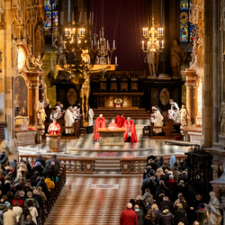 2025 Karfreitag / Erzdiözese Wien/Schönlaub