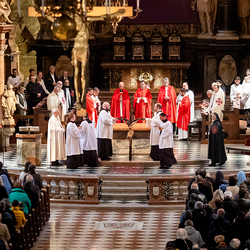 2025 Karfreitag / Erzdiözese Wien/Schönlaub