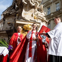 2025 Palmsonntag / Erzdiözese Wien/ Schönlaub, Stephan Schönlaub