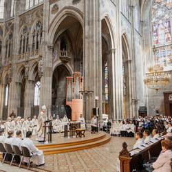 Diakonenweihe 2024 / Erzdiözese Wien/ Schönlaub