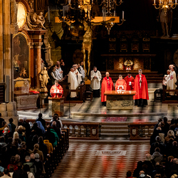 2025 Karfreitag / Erzdiözese Wien/Schönlaub