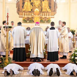 Erzdiözese Wien/Schönlaub, Stephan Schönlaub