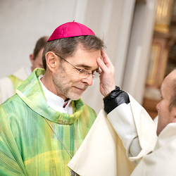 Erzdiözese Wien/Schönlaub