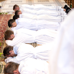 Erzdiözese Wien/Schönlaub, Stephan Schönlaub