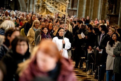 Erzdiözese Wien/Schönlaub