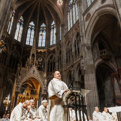 Diakonenweihe 2024 / Erzdiözese Wien/ Schönlaub