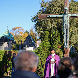 Erzdiözese Wien/Schönlaub