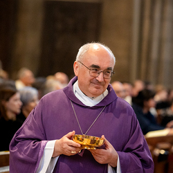 Stephansdom: Österreich nahm Abschied von Papst Franziskus / Erzdiözese Wien/ Schönlaub, Stephan Schönlaub Stephansdom: Österreich nahm Abschied von Papst Franziskus