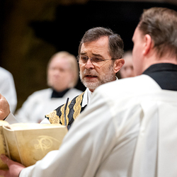 Allerseelen Requiem im Stephansdom / Erzdiözese Wien/Schönlaub, Stephan Schönlaub Allerseelen Requiem im Stephansdom