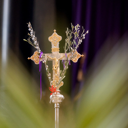 2025 Palmsonntag / Erzdiözese Wien/ Schönlaub, Stephan Schönlaub