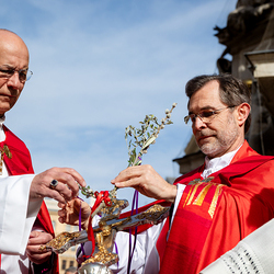 2025 Palmsonntag / Erzdiözese Wien/ Schönlaub, Stephan Schönlaub